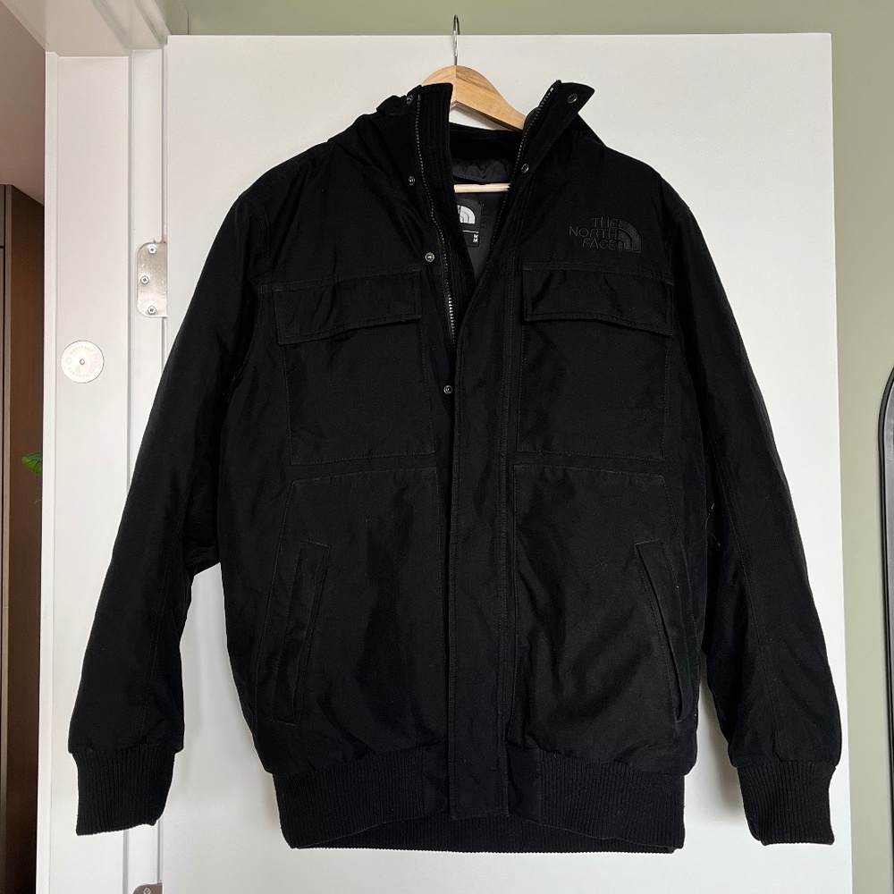 North Face Winter Jacket (mens)